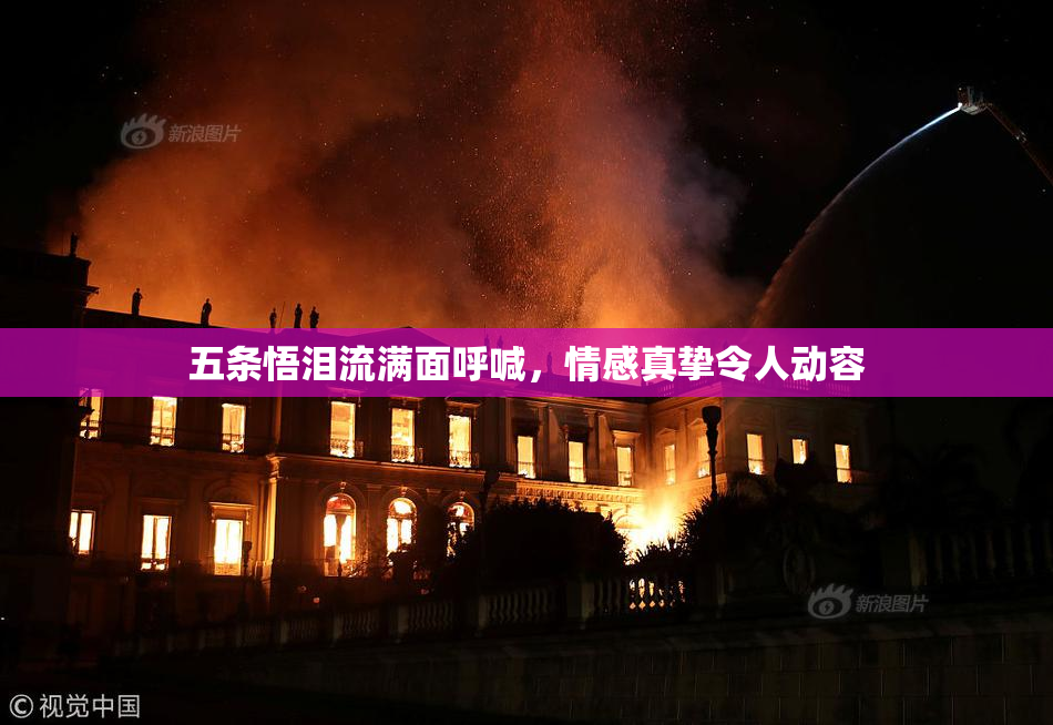 五条悟泪流满面呼喊，情感真挚令人动容