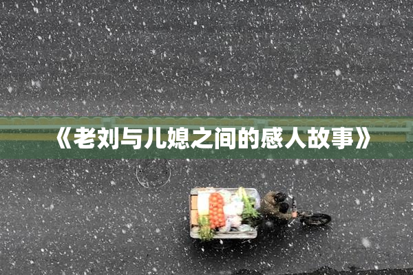 《老刘与儿媳之间的感人故事》
