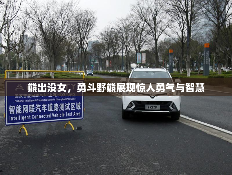 熊出没女，勇斗野熊展现惊人勇气与智慧