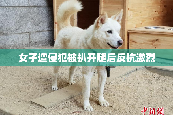女子遭侵犯被扒开腿后反抗激烈