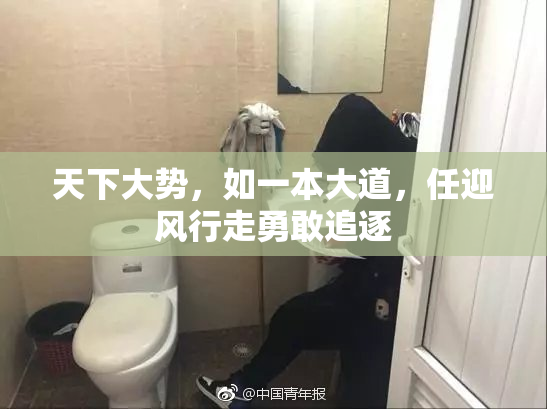 天下大势，如一本大道，任迎风行走勇敢追逐