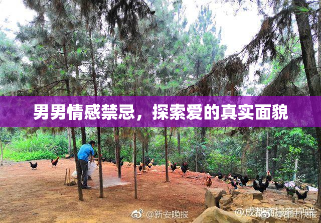 男男情感禁忌，探索爱的真实面貌