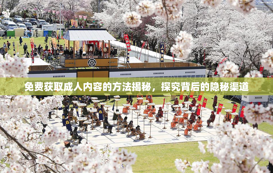 免费获取成人内容的方法揭秘，探究背后的隐秘渠道