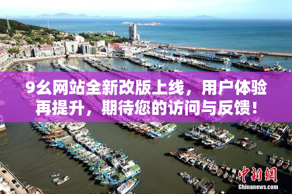 9幺网站全新改版上线，用户体验再提升，期待您的访问与反馈！