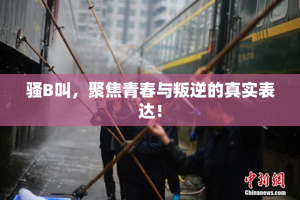 骚B叫，聚焦青春与叛逆的真实表达！