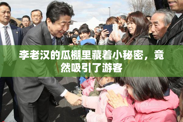 李老汉的瓜棚里藏着小秘密，竟然吸引了游客