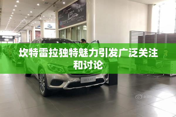 坎特雷拉独特魅力引发广泛关注和讨论