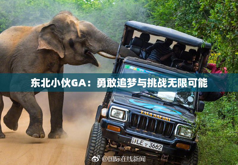 东北小伙GA：勇敢追梦与挑战无限可能