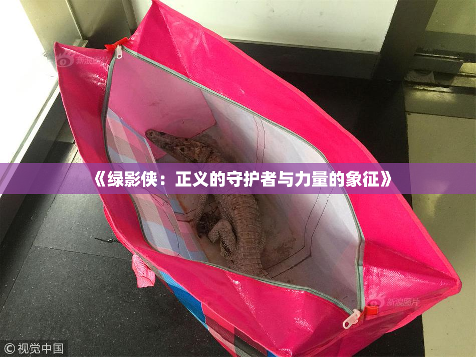 《绿影侠：正义的守护者与力量的象征》