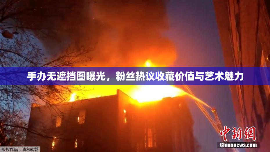 手办无遮挡图曝光，粉丝热议收藏价值与艺术魅力