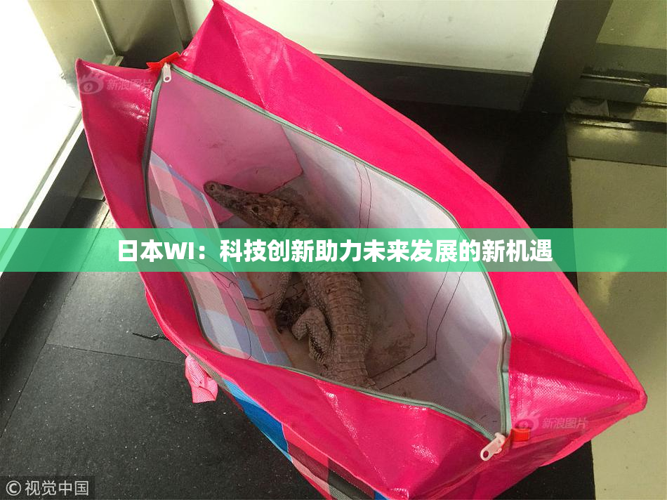 日本WI：科技创新助力未来发展的新机遇