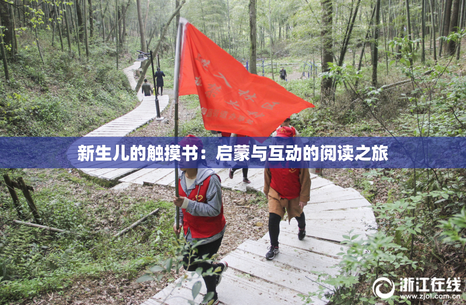 新生儿的触摸书：启蒙与互动的阅读之旅