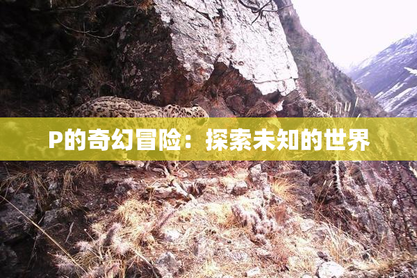 P的奇幻冒险：探索未知的世界