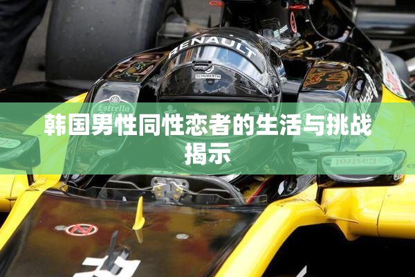 韩国男性同性恋者的生活与挑战揭示