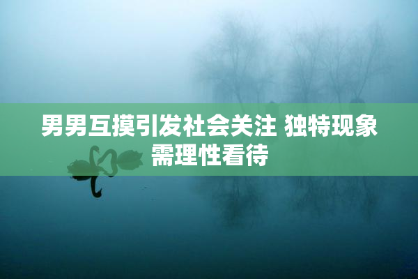 男男互摸引发社会关注 独特现象需理性看待