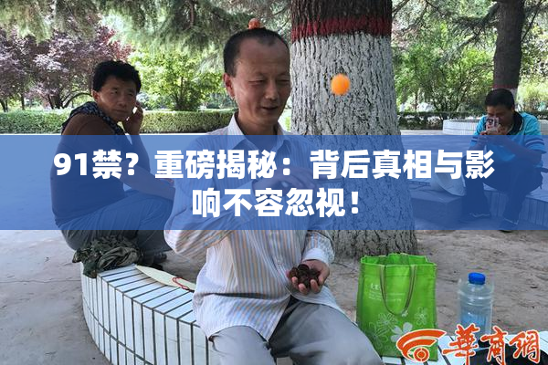 91禁？重磅揭秘：背后真相与影响不容忽视！