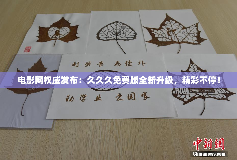 电影网权威发布：久久久免费版全新升级，精彩不停！