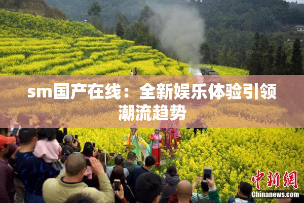 sm国产在线：全新娱乐体验引领潮流趋势