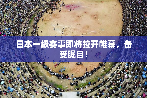日本一级赛事即将拉开帷幕，备受瞩目！
