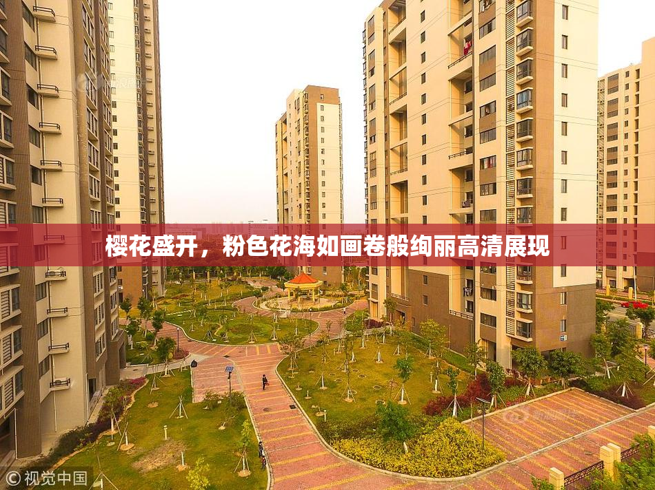 樱花盛开，粉色花海如画卷般绚丽高清展现