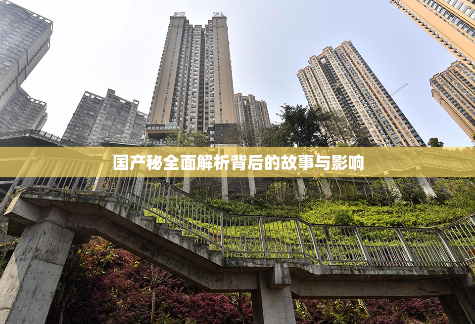 国产秘全面解析背后的故事与影响