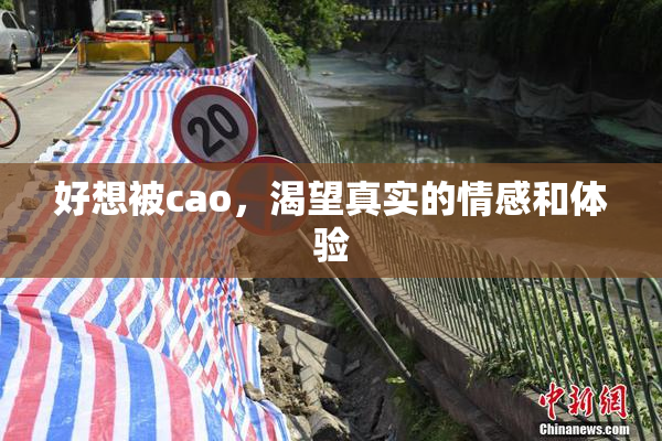 好想被cao，渴望真实的情感和体验