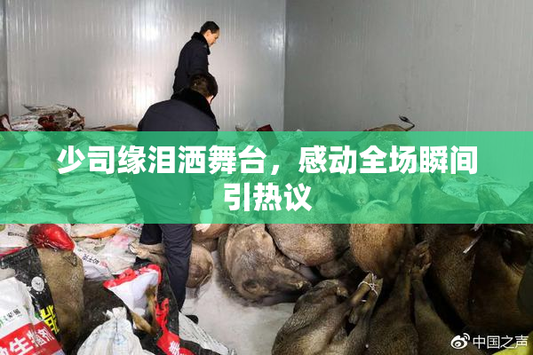 少司缘泪洒舞台，感动全场瞬间引热议