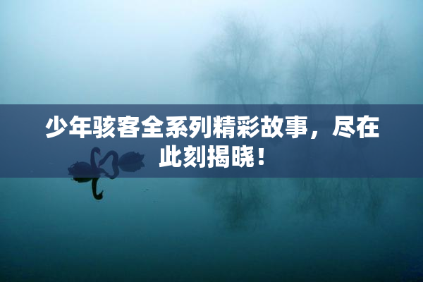 少年骇客全系列精彩故事，尽在此刻揭晓！