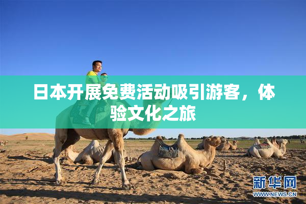 日本开展免费活动吸引游客，体验文化之旅