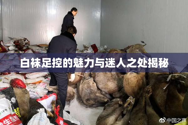 白袜足控的魅力与迷人之处揭秘