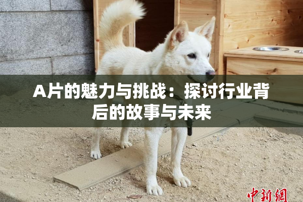 A片的魅力与挑战：探讨行业背后的故事与未来