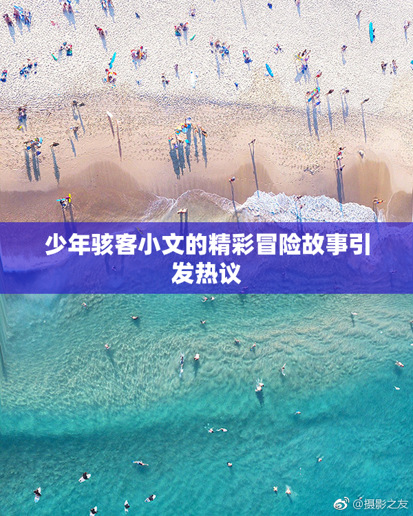 少年骇客小文的精彩冒险故事引发热议