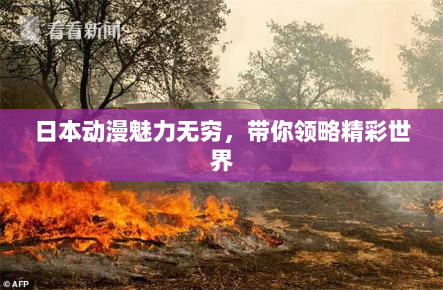 日本动漫魅力无穷，带你领略精彩世界