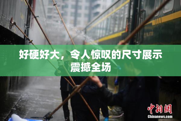 好硬好大，令人惊叹的尺寸展示震撼全场