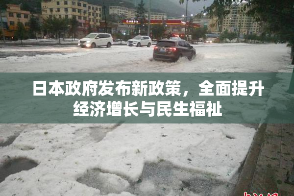 日本政府发布新政策，全面提升经济增长与民生福祉