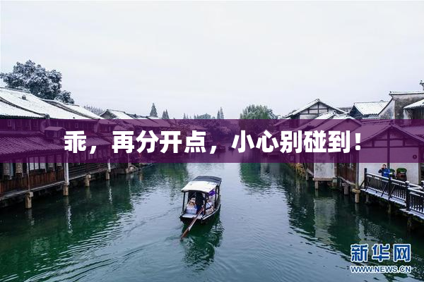 乖，再分开点，小心别碰到！