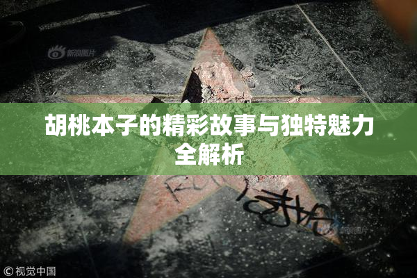 胡桃本子的精彩故事与独特魅力全解析