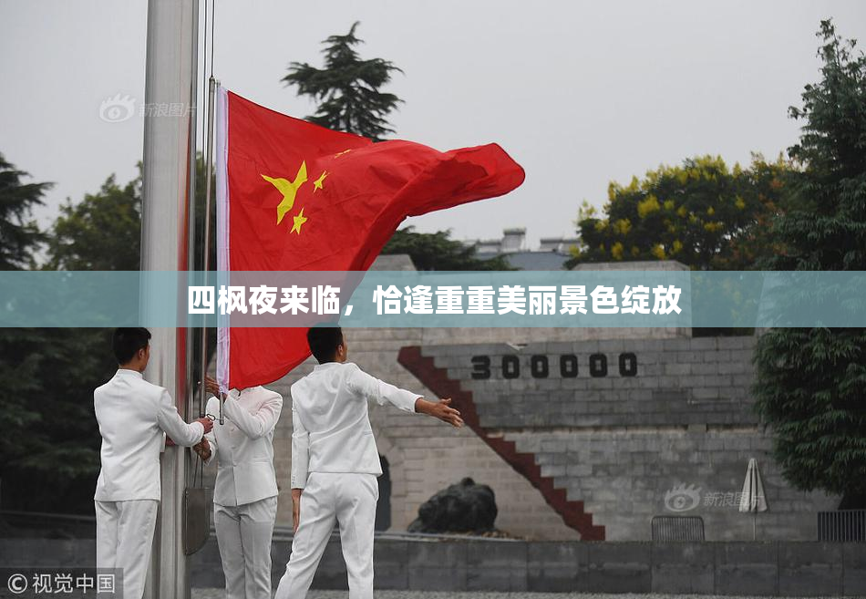 四枫夜来临，恰逢重重美丽景色绽放