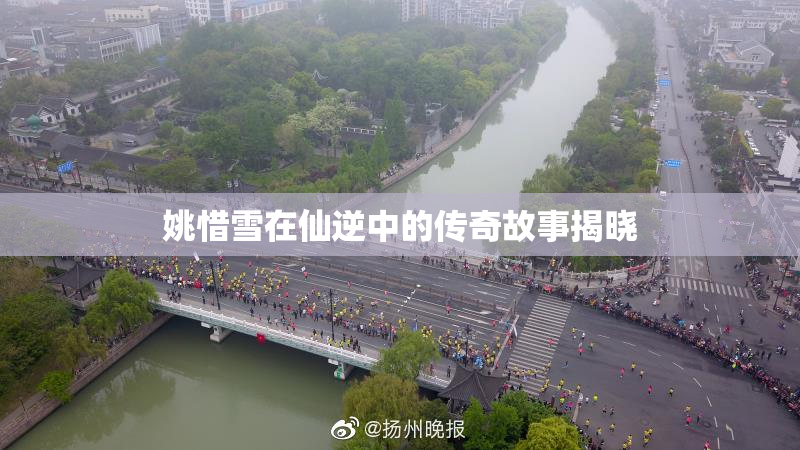 姚惜雪在仙逆中的传奇故事揭晓