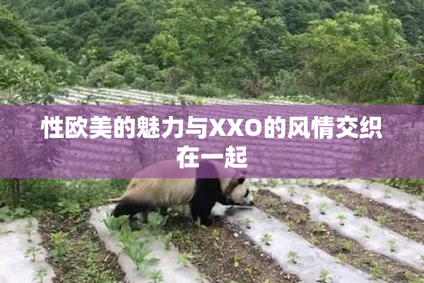 性欧美的魅力与XXO的风情交织在一起