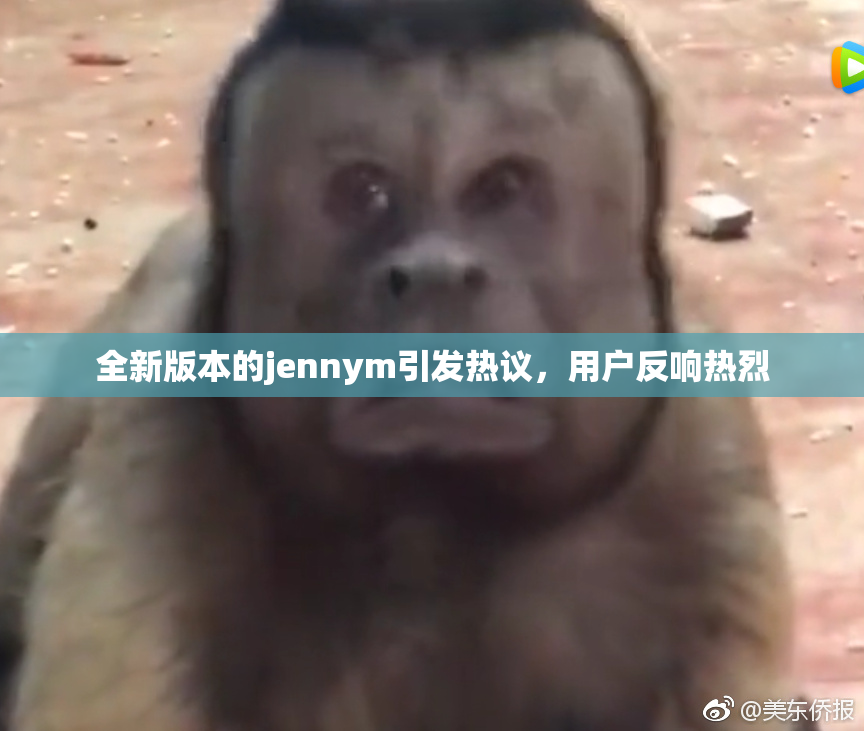 全新版本的jennym引发热议，用户反响热烈