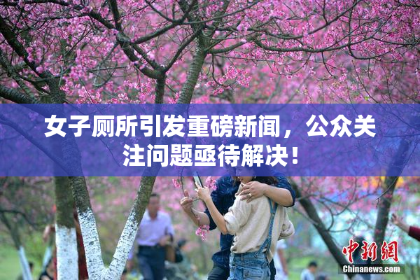 女子厕所引发重磅新闻，公众关注问题亟待解决！