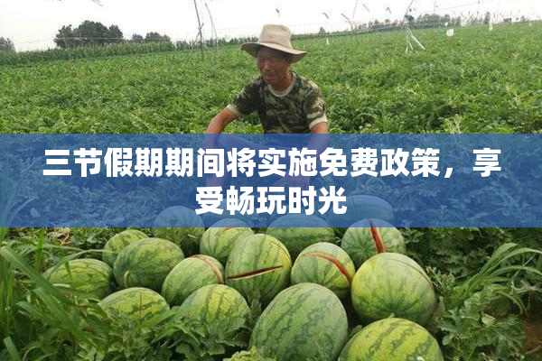 三节假期期间将实施免费政策，享受畅玩时光