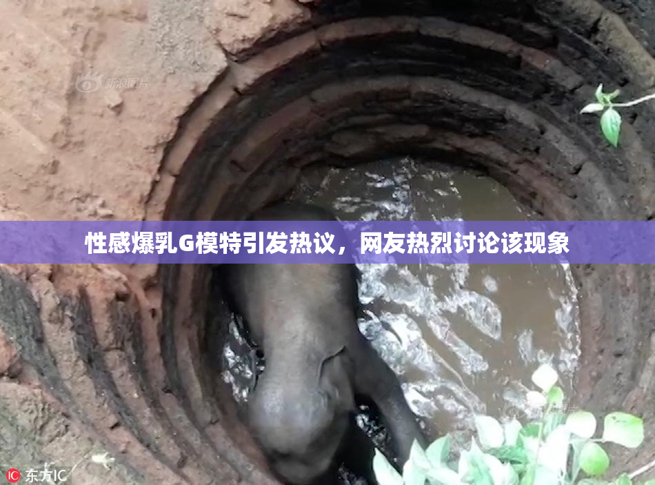 性感爆乳G模特引发热议，网友热烈讨论该现象