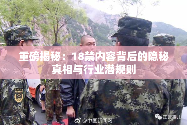 重磅揭秘：18禁内容背后的隐秘真相与行业潜规则