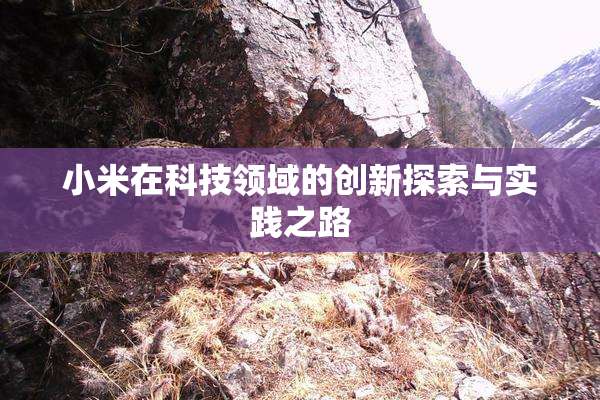 小米在科技领域的创新探索与实践之路
