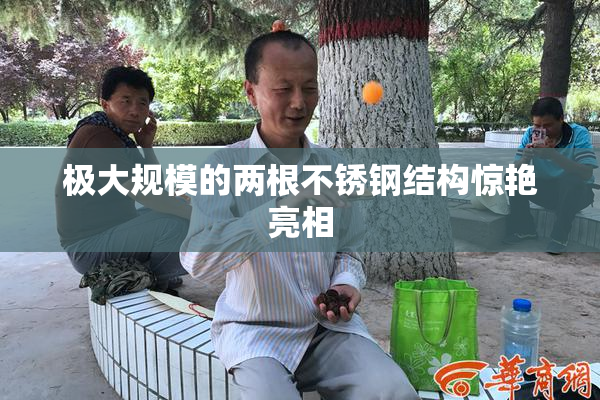 极大规模的两根不锈钢结构惊艳亮相
