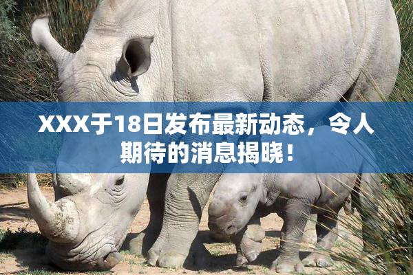 XXX于18日发布最新动态，令人期待的消息揭晓！