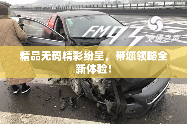 精品无码精彩纷呈，带您领略全新体验！
