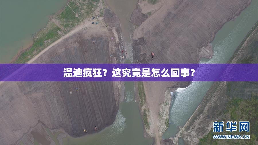温迪疯狂？这究竟是怎么回事？